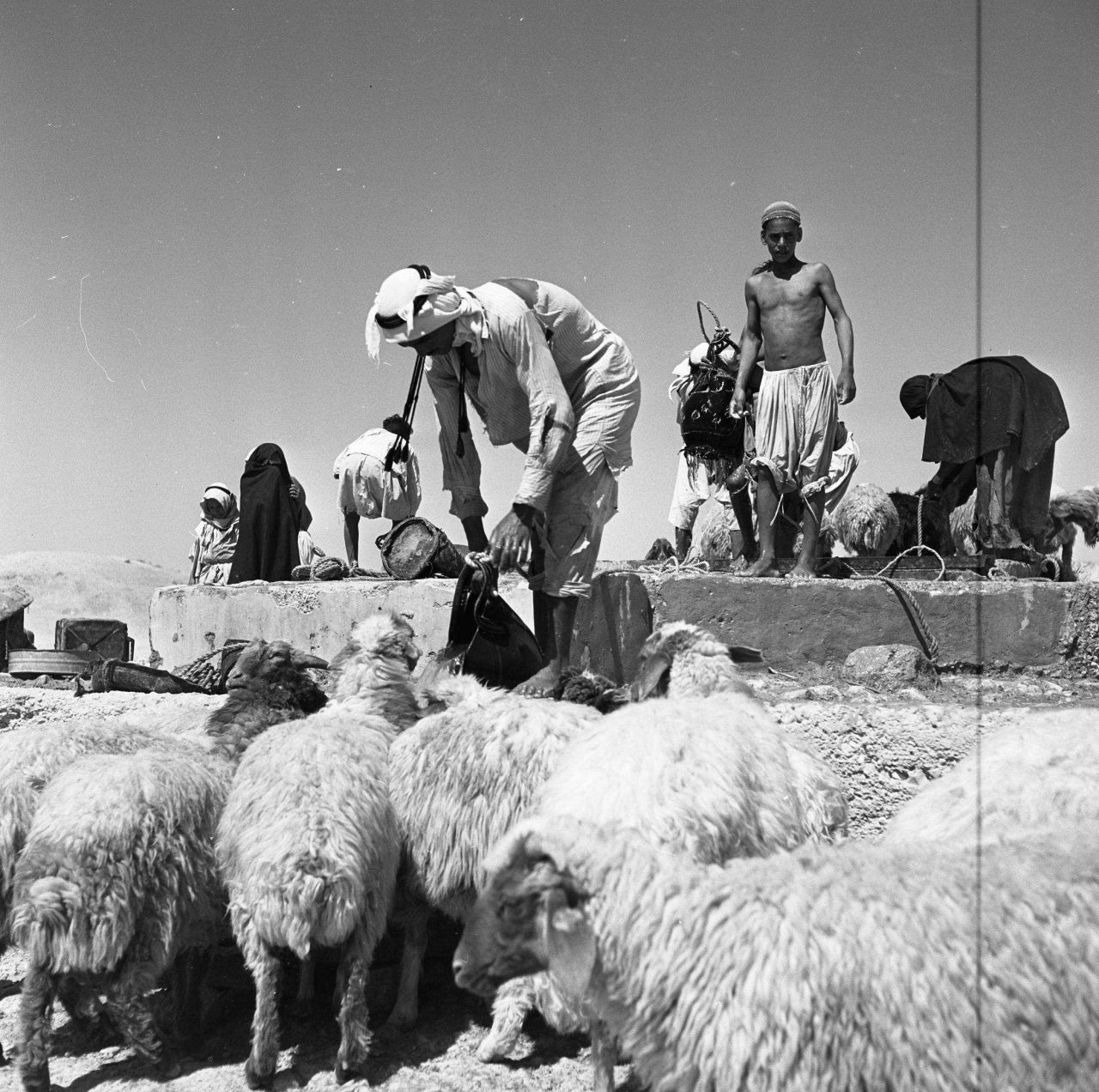 ‘Bedouins Come to the Market in Be’er Sheva’ (1955). Source: Eddie Hirschbein Collection, National Library of Israel. Public domain via Wikimedia Commons.